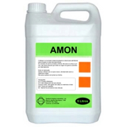 Amon