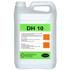 DH 10